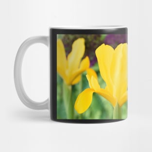 Iris  &#39;Golden Beauty&#39; Mug